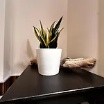 A Casa Mia In Centro Citta Апартаменты *