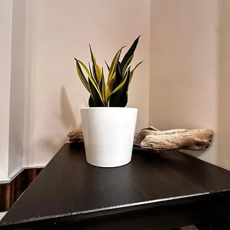 A Casa Mia In Centro Citta דירה *